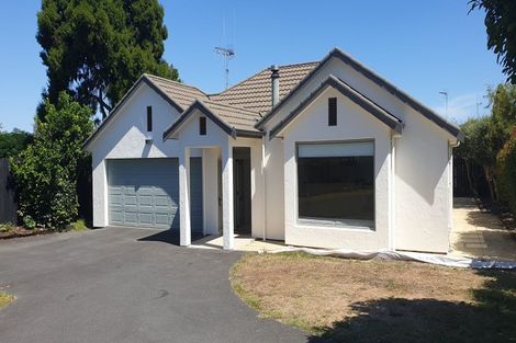 Photo of property in 43a Saint Andrews Terrace, St Andrews, Hamilton, 3200