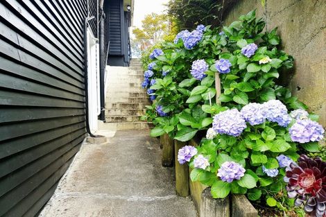 Photo of property in 211 Titirangi Road, Titirangi, Auckland, 0604