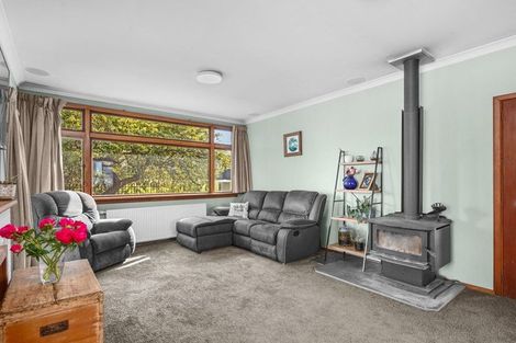 Photo of property in 8 Simmonds Street, Alexandra, 9320