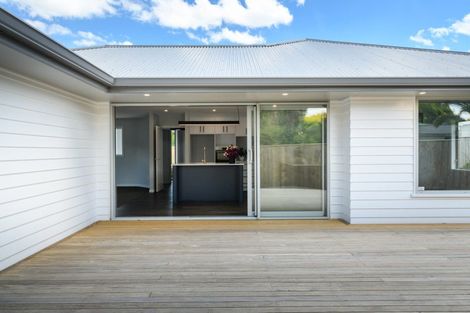 Photo of property in 163a Denbigh Street, Feilding, 4702