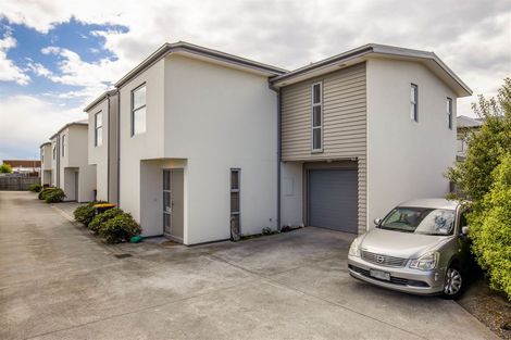 Photo of property in 101a Barbour Street, Waltham, Christchurch, 8011