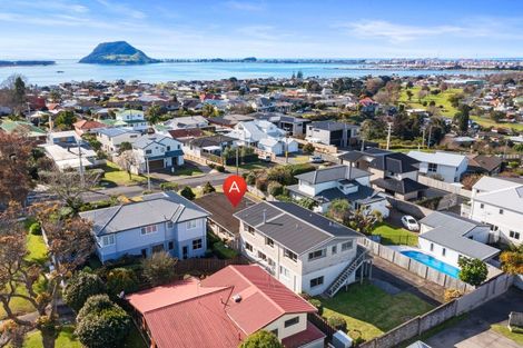 Photo of property in 45a Hinewa Road, Otumoetai, Tauranga, 3110