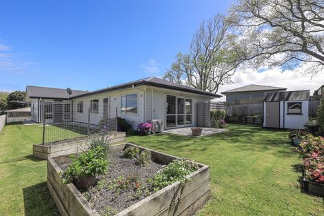 Photo of property in 14 Harlock Place, Huntly, 3700