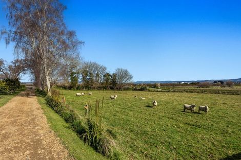 Photo of property in 402 Awakeri Road, Edgecumbe, Whakatane, 3193