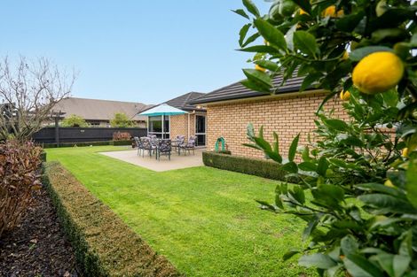 Photo of property in 7 Cooper Crescent, Cambridge, 3434