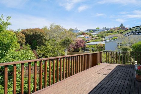 Photo of property in 29 Lynwood Avenue, Maori Hill, Dunedin, 9010