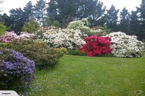 Photo of property in 4 Claremont Road, Gleniti, Timaru, 7910