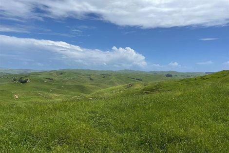 Photo of property in 429 Te Akau South Road, Te Akau, Ngaruawahia, 3793