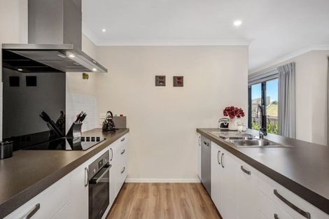 Photo of property in 169 John Burke Drive, Aotea, Porirua, 5024