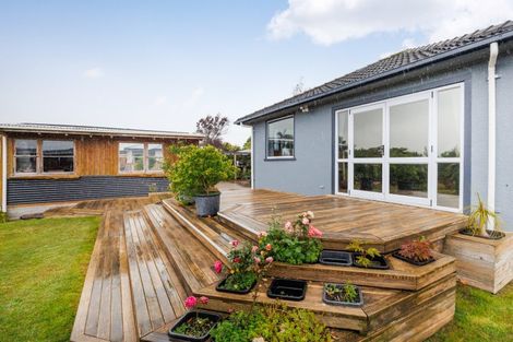 Photo of property in 30 Pharazyn Street, Feilding, 4702