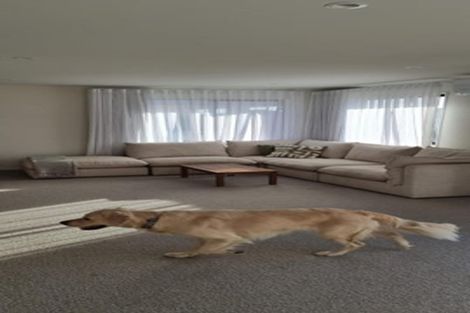 Photo of property in 21 Shepperton Street, Appleby, Richmond, 7020