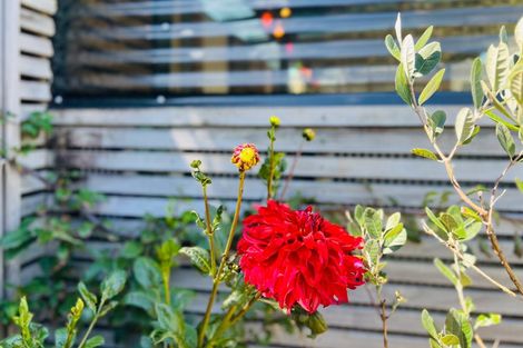 Photo of property in 14 Goldie Place, Waikanae Beach, Waikanae, 5036