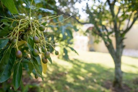 Photo of property in 656 East Takaka Road, East Takaka, Takaka, 7183