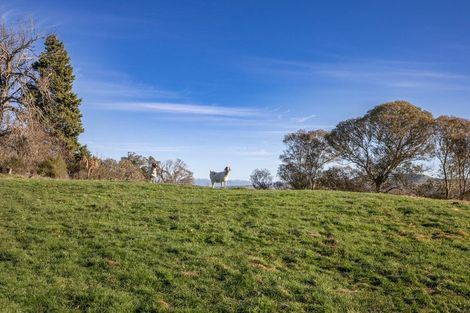 Photo of property in 164 Mount Herbert Road, Waipukurau, 4200
