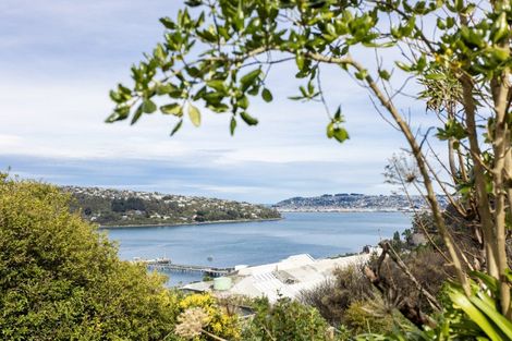 Photo of property in 10a Hinau Street, Ravensbourne, Dunedin, 9022