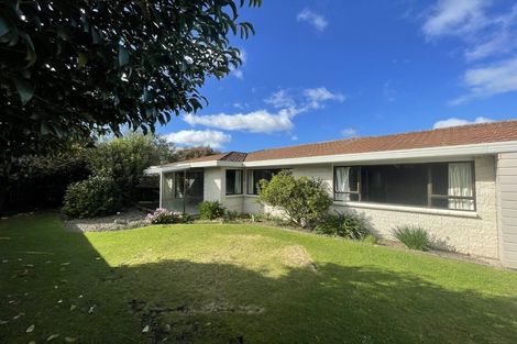 Photo of property in 227b Fifteenth Avenue, Tauranga South, Tauranga, 3112