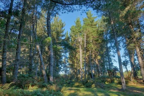 Photo of property in 89 Russell Road, Kaniere, Hokitika, 7811