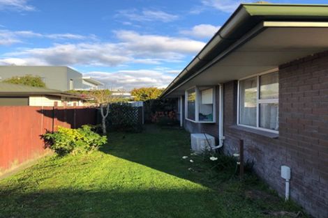 Photo of property in 117a Roy Street, Palmerston North, 4410