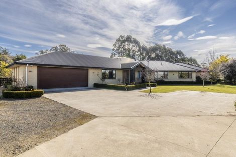 Photo of property in 255 Calico Line, Marton, 4787