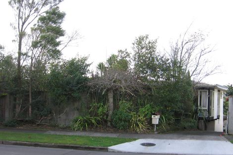 Photo of property in 47 Lincoln Terrace, Hokowhitu, Palmerston North, 4410
