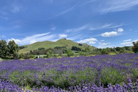 Photo of property in 11 Mount Heslington Road, Brightwater, 7091