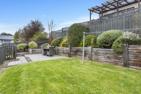 Photo of property in 17 Hawthorn Avenue, Mornington, Dunedin, 9011