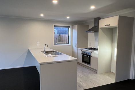 Photo of property in 24 Pragma Rise, Rototuna North, Hamilton, 3210