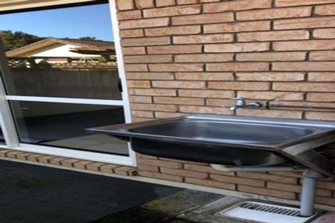 Photo of property in 14 Checkerberry Court, Henderson, Auckland, 0612