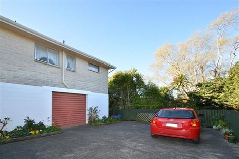 Photo of property in 45e Main Road, Fairfield, Dunedin, 9018