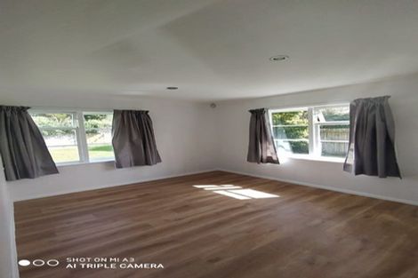 Photo of property in 19 Fleming Street, Manurewa East, Auckland, 2102