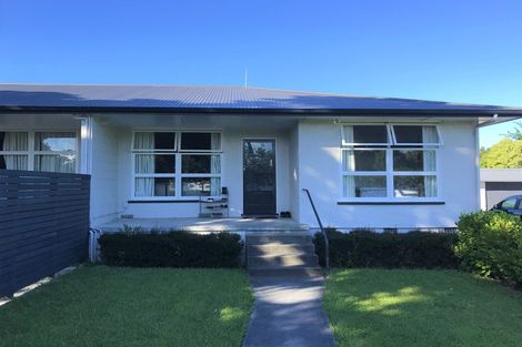 Photo of property in 8 Chambers Street, Havelock North, 4130