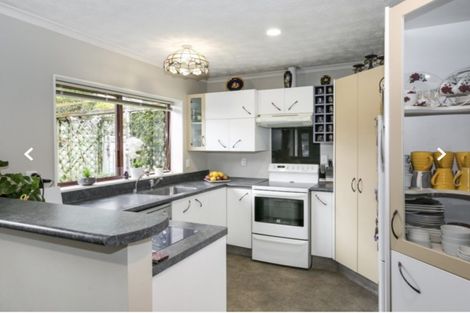 Photo of property in 19 Bucksburn Place, Greenmeadows, Napier, 4112