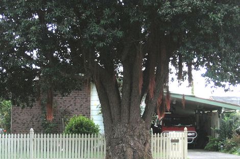 Photo of property in 41 Lincoln Avenue, Epuni, Lower Hutt, 5011