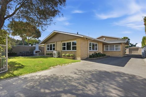 Photo of property in 19 Woodland Avenue, Motueka, 7120