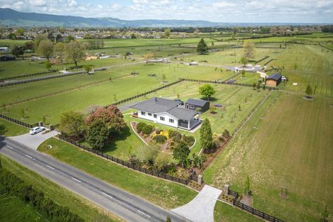 Photo of property in 173 Station Road, Matamata, 3472