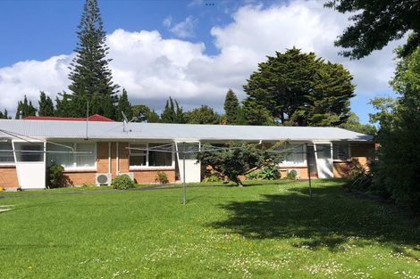 Photo of property in 52 Buscomb Avenue, Henderson, Auckland, 0610