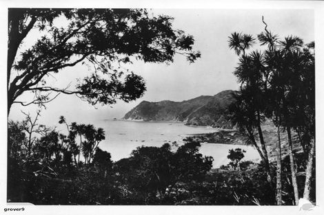 Photo of property in 502 Waipiro Road, Waipiro, Tokomaru Bay, 4079