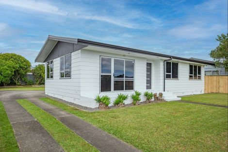 Photo of property in 25 Solway Street, Levin, 5510