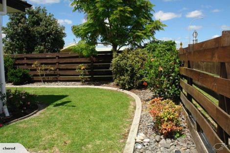 Photo of property in 16c Burrows Street, Tauranga South, Tauranga, 3112