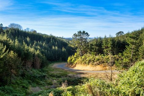 Photo of property in 225 Rocky Cutting Road, Waitao, Tauranga, 3175