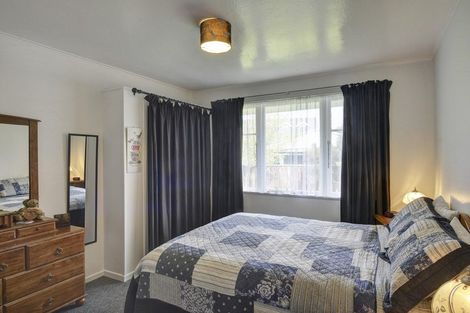 Photo of property in 45 Cockburn Street, Kuripuni, Masterton, 5810