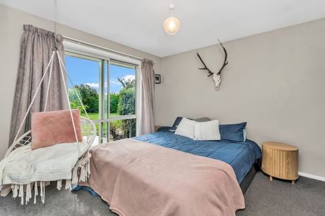 Photo of property in 3 Showground Place, Leeston, 7632