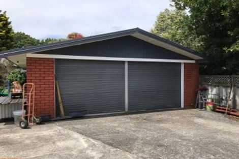 Photo of property in 141 Fitzroy Avenue, Fitzroy, Hamilton, 3206