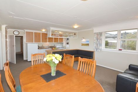 Photo of property in 459 South Road, Calton Hill, Dunedin, 9012