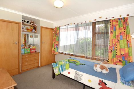 Photo of property in 459 South Road, Calton Hill, Dunedin, 9012