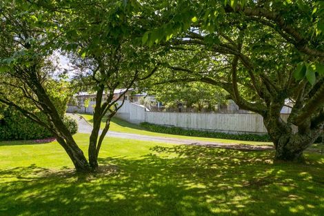 Photo of property in 63 Hinemoa Avenue, Taupo, 3330