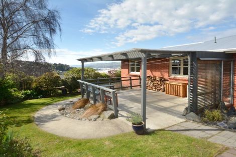 Photo of property in 459 South Road, Calton Hill, Dunedin, 9012