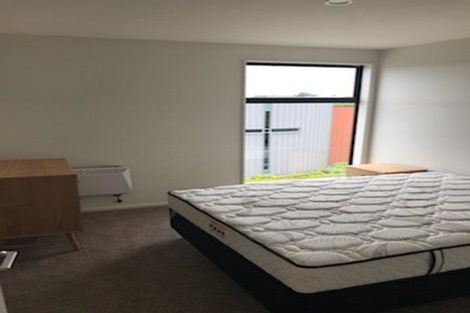 Photo of property in 118 Salisbury Street, Ashhurst, 4810