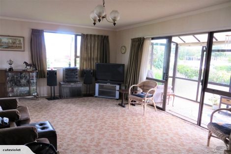 Photo of property in 21a Bowen Street, Cambridge, 3434