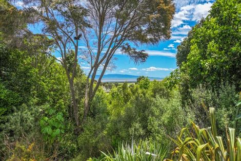 Photo of property in 41b Totara Valley Road, Thames, 3578